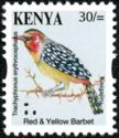 Red-and-yellow Barbet (Trachyphonus erythrocephalus)